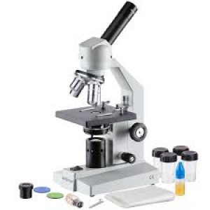 Students Schools Microscopes